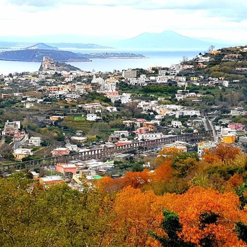 Hotel Parco Conte Casamicciola Terme Zewnętrze zdjęcie