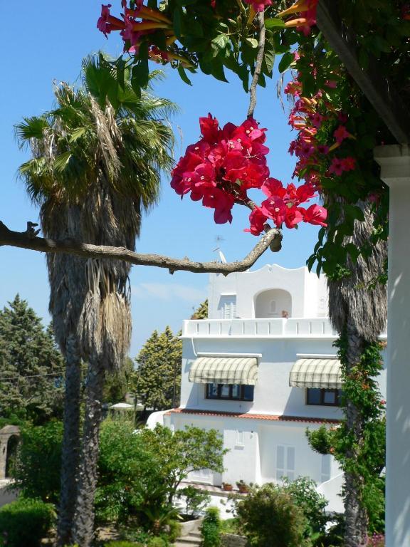 Hotel Parco Conte Casamicciola Terme Zewnętrze zdjęcie